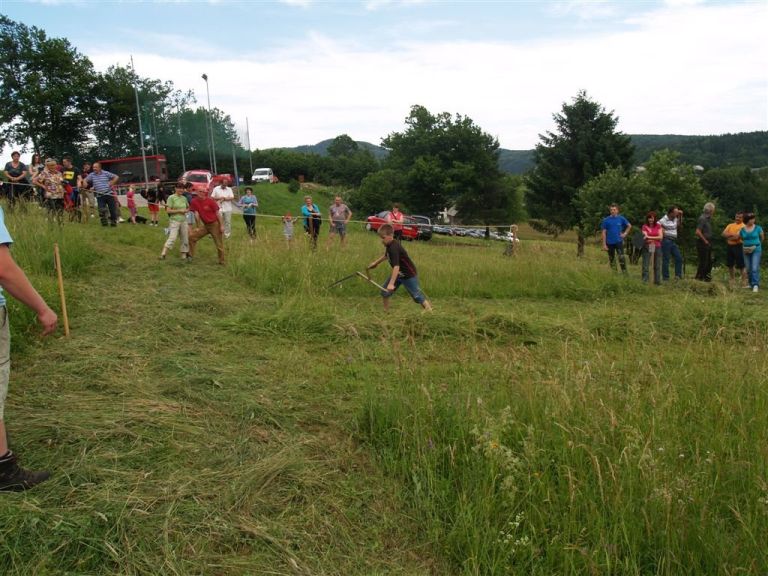 px015863_000.jpg