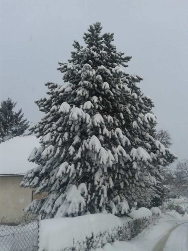 gremo_ven_002.jpg
