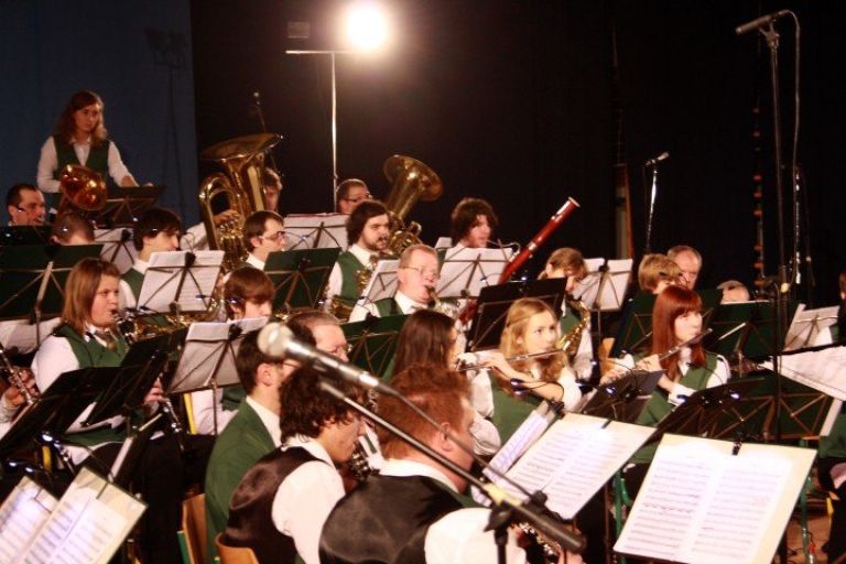 kostanjevica_orkester__10_.jpg