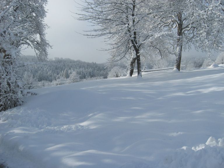 sneg_005.jpg
