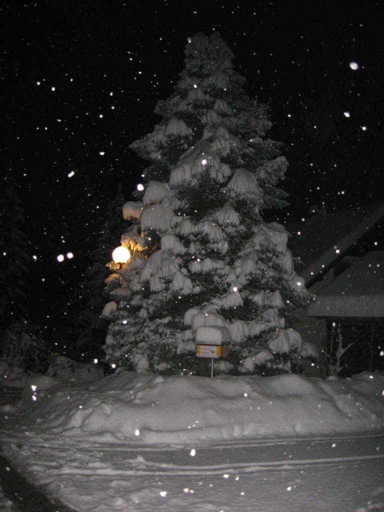 00_idila_002.jpg
