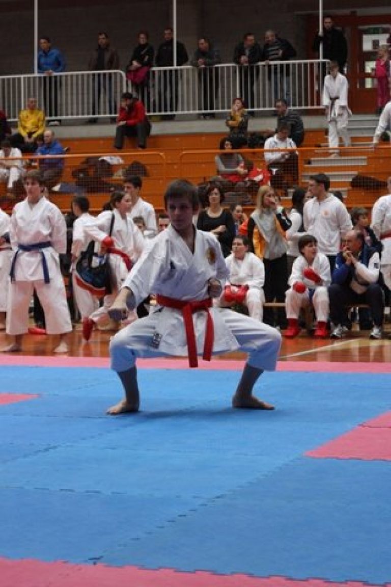 karate1.jpg