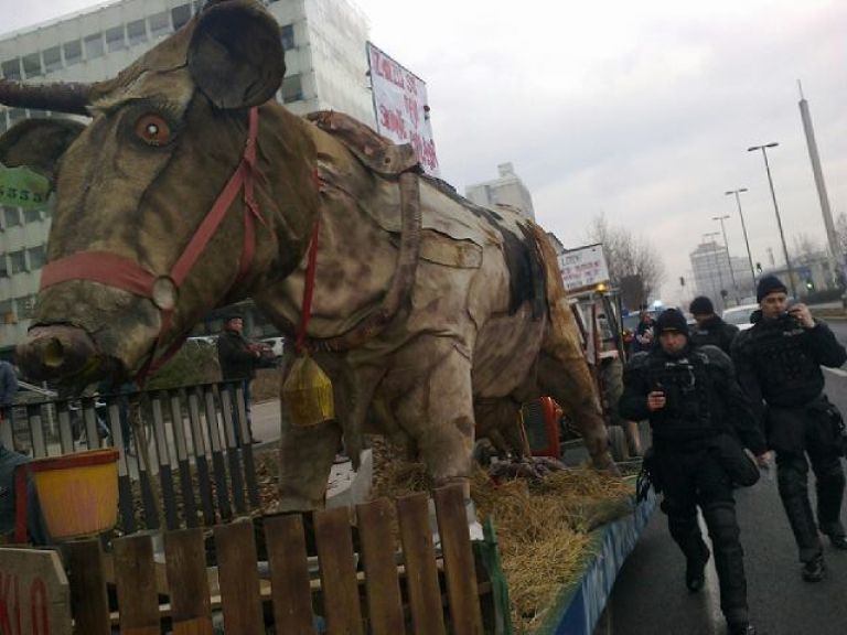 protest krave 2.jpg