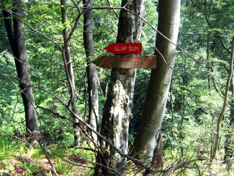 l_pohorje_002.jpg