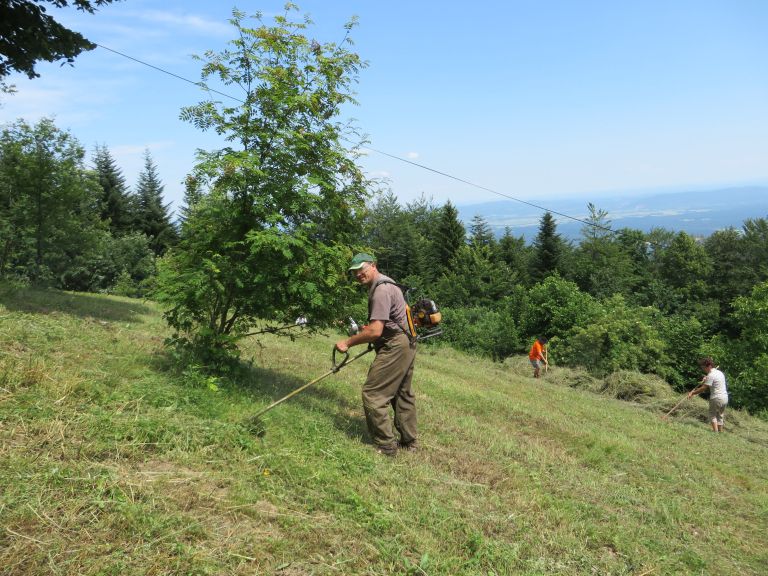 u_kosnja_002.jpg