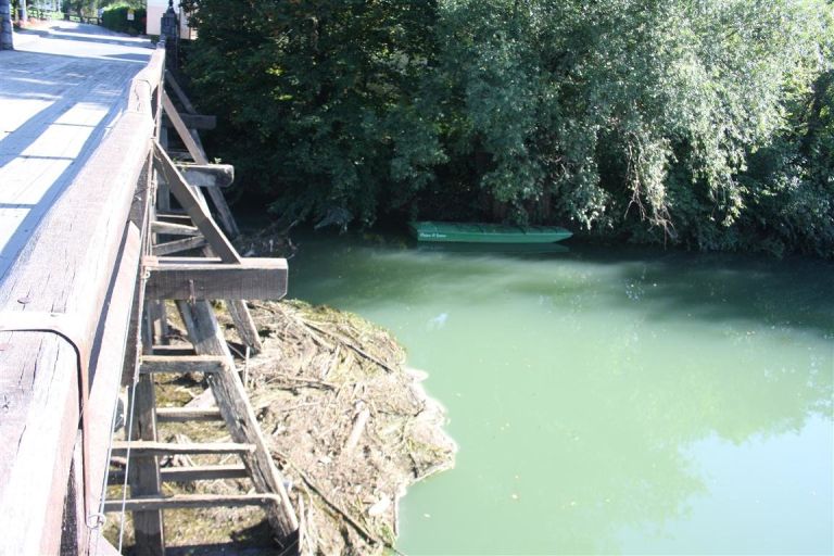 krka_kostanjevica__3_.jpg