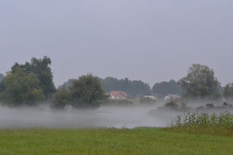dsc_0054_000.jpg