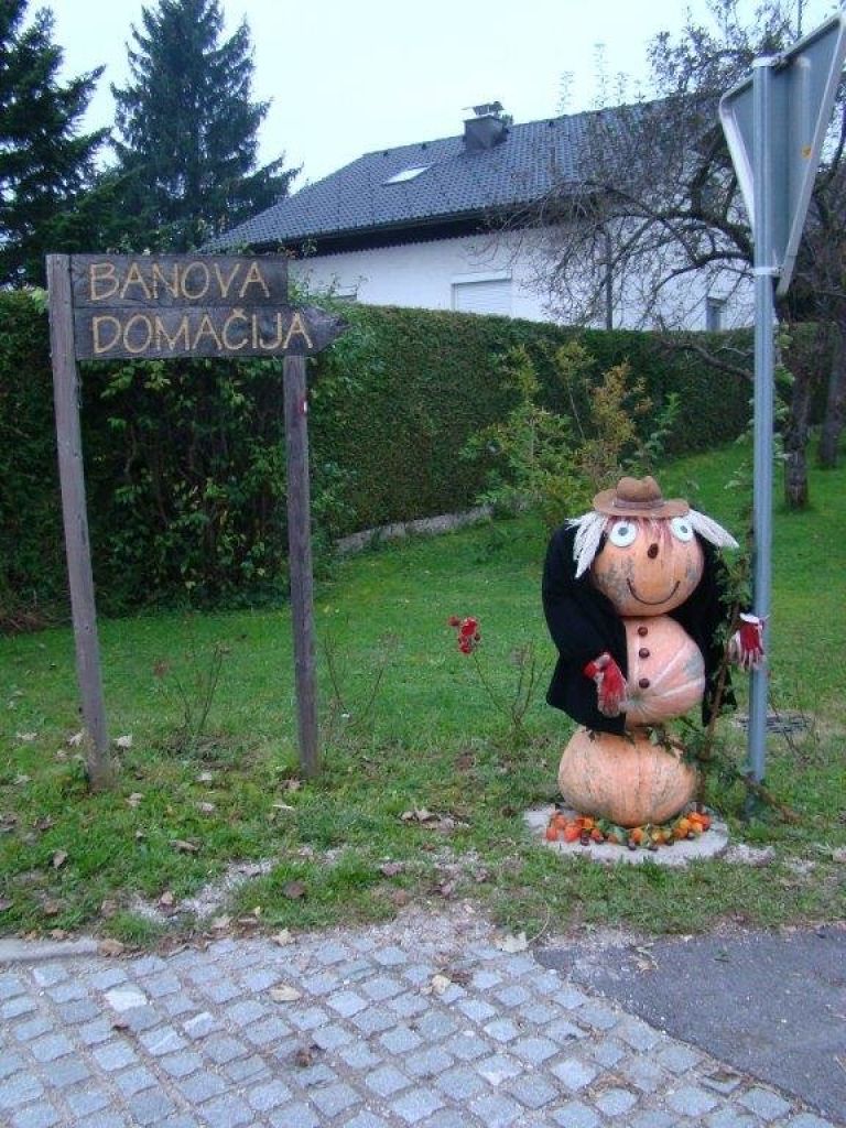 v_sadjarski_002.jpg