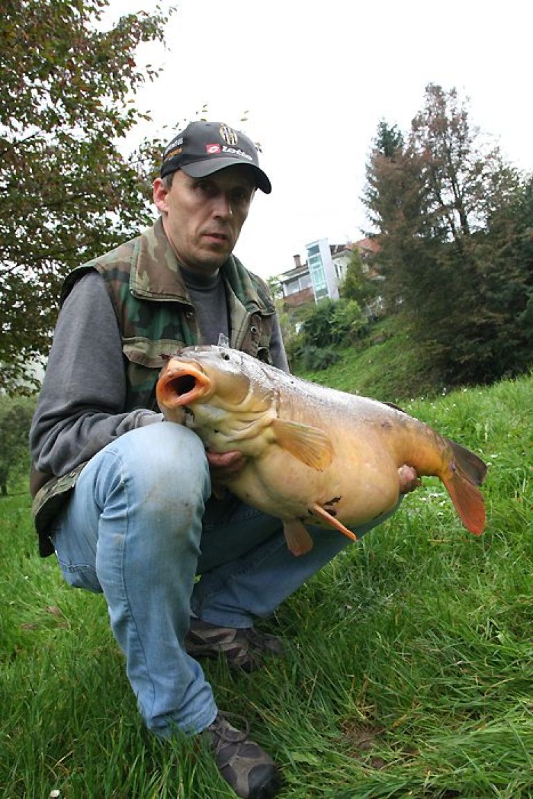 peter_potocnik_krap_02.jpg