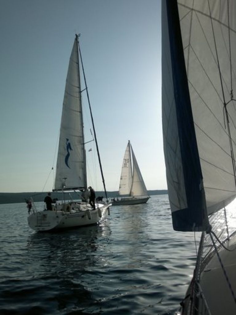 p_regata_02.jpg