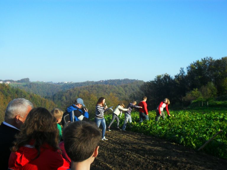 skovec_03.jpg