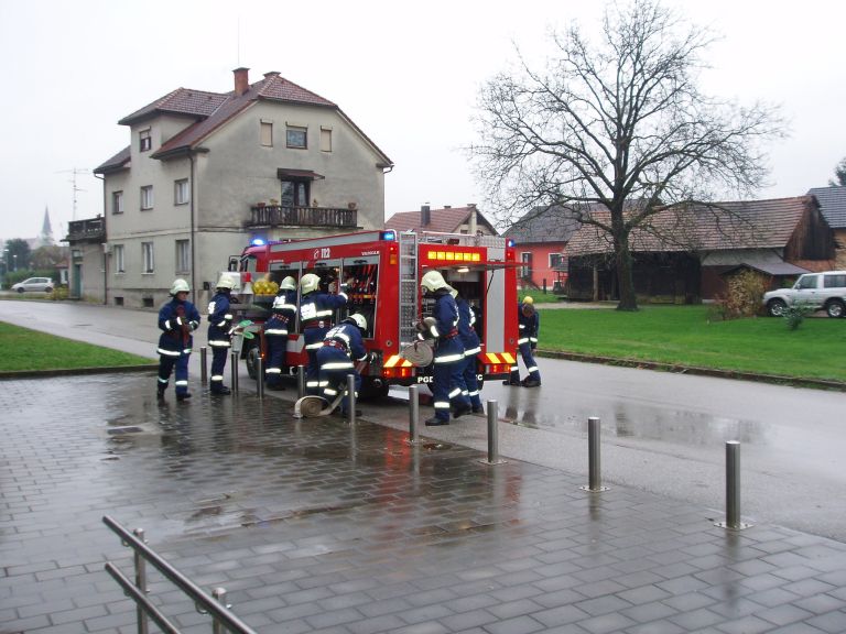 vaja_02.jpg