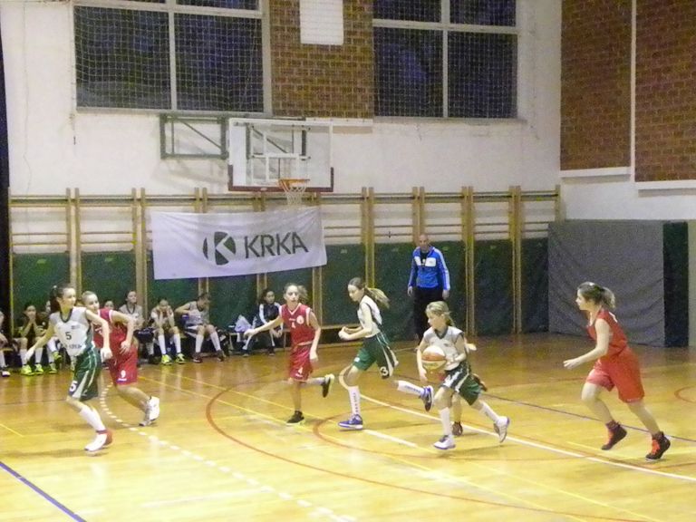v_kosarka_02.jpg