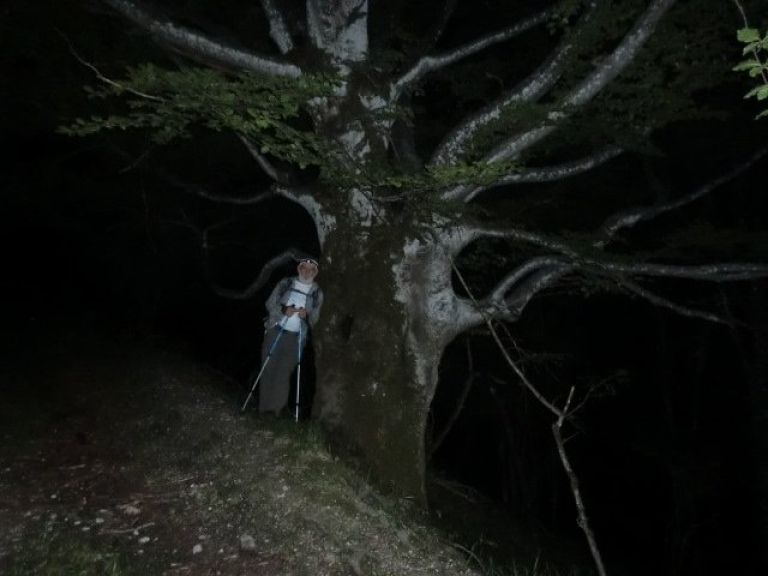 t_srecanje__02_.jpg