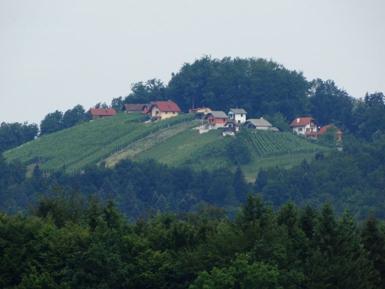 02_medvedjek_resize.jpg