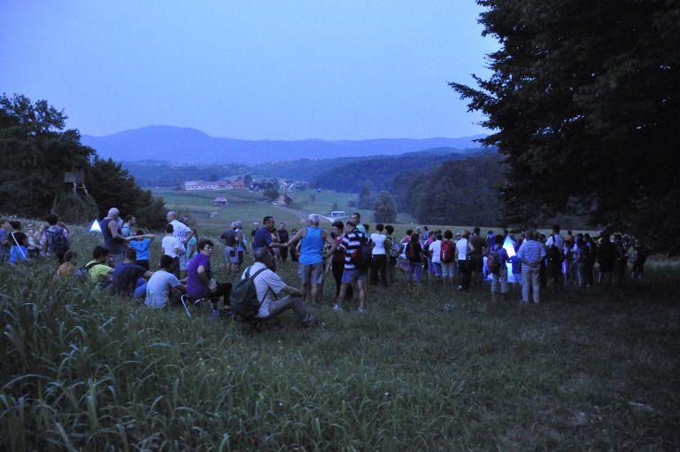 opazovanje_metuljev_3.jpg