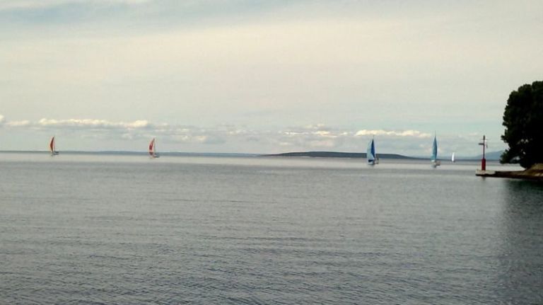 _regata__10_.jpg