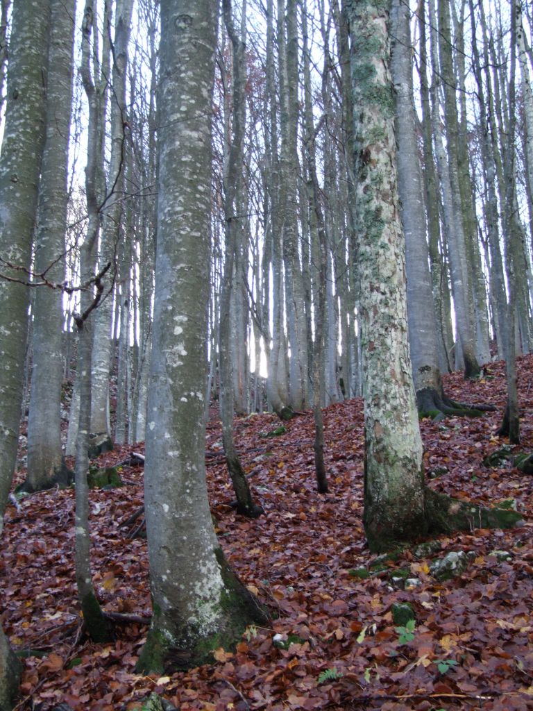pohod__02_.jpg