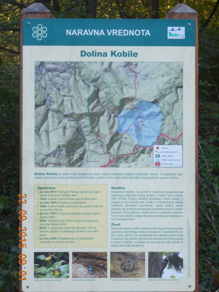 _kobile__2_.jpg