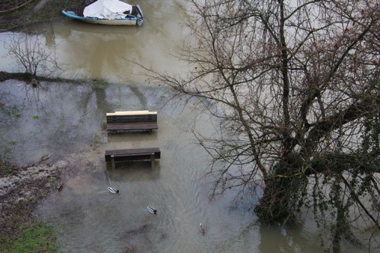 n_arasla_krka05.jpg