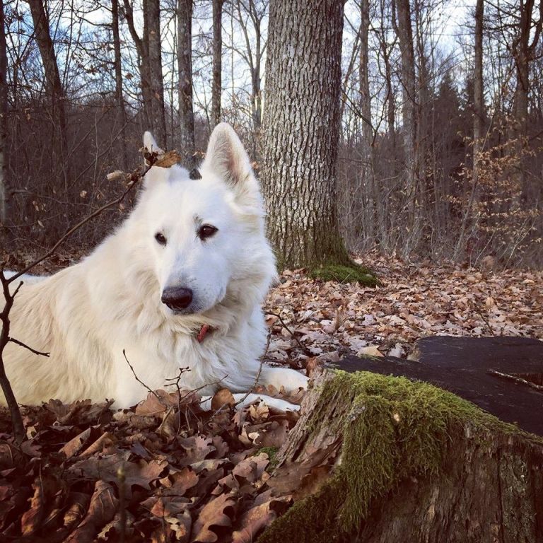 vito_02.jpg
