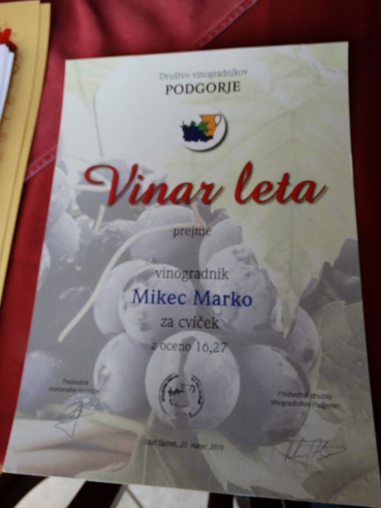 podgorje__10_.jpg