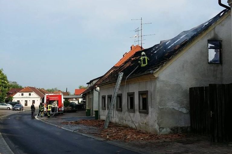 kostanjevica_01.jpg