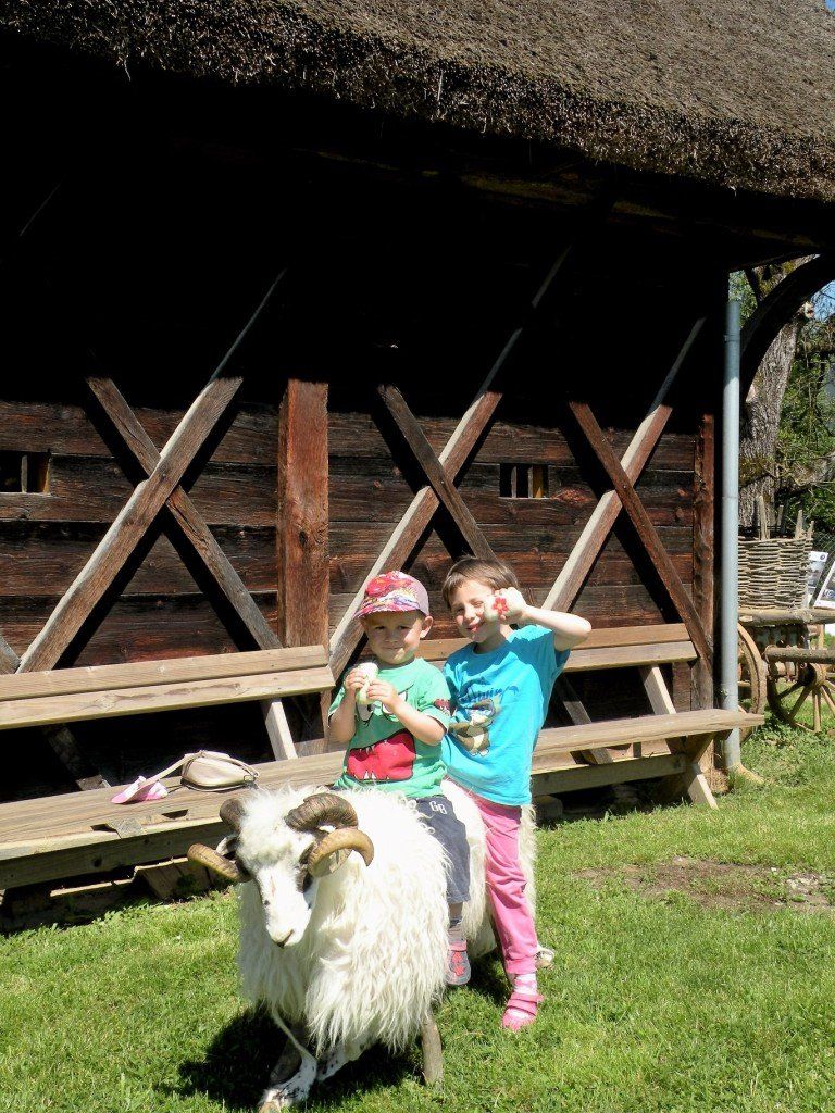 krajinski_park_kolpa_bela_krajina_slovenija_homemade_nature__10_.jpg