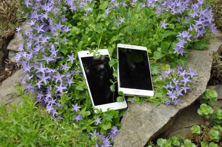 Sony in Huawei.JPG