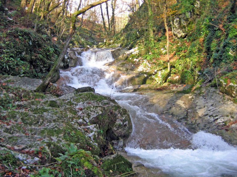 103_0330.jpg