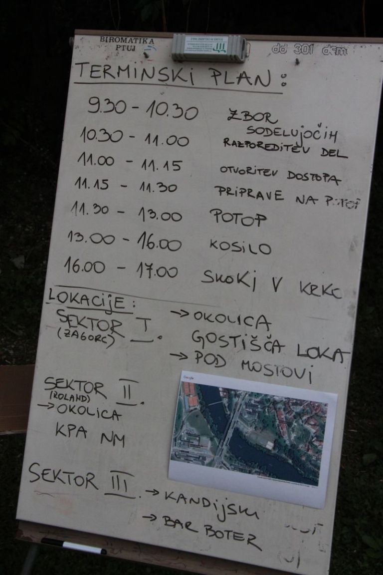potapljaci02.jpg