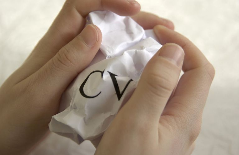 Življenjepis, cv, zaposlitev