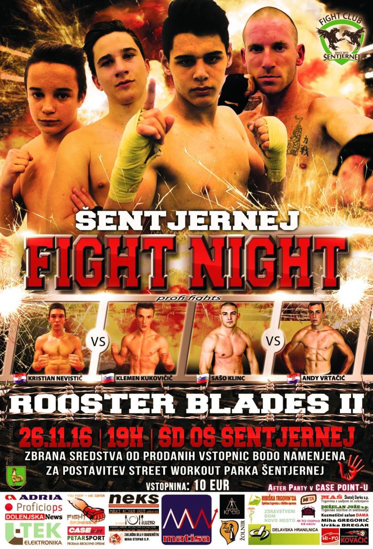 mediji_sfn_plakat.jpg