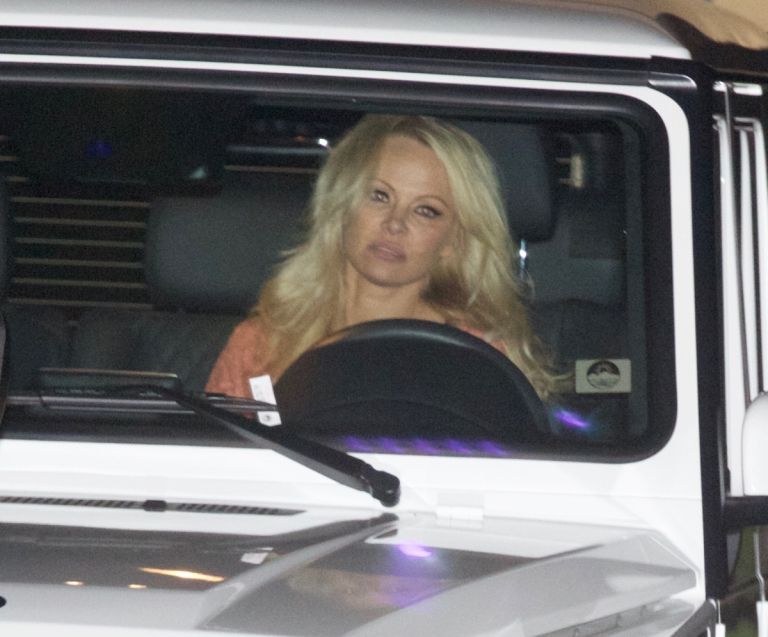Pamela Anderson.jpg