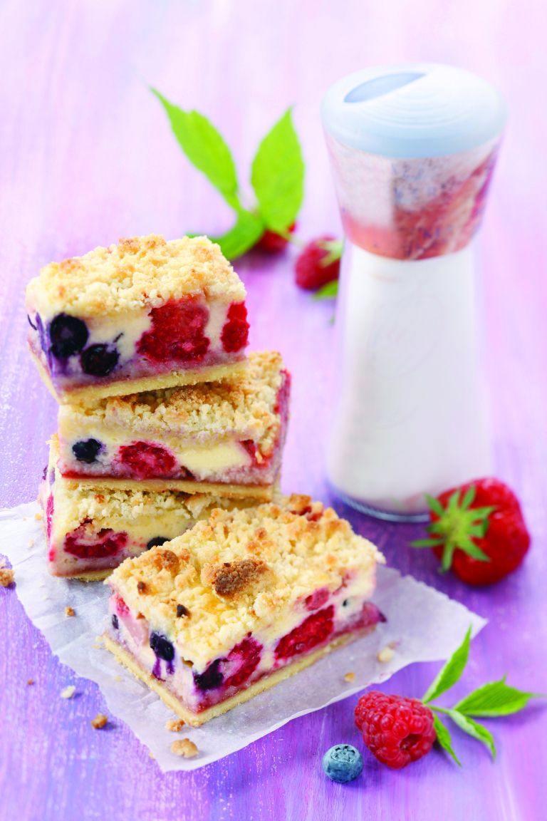Beeren-Kokos-Schnitte_HS[1].jpg