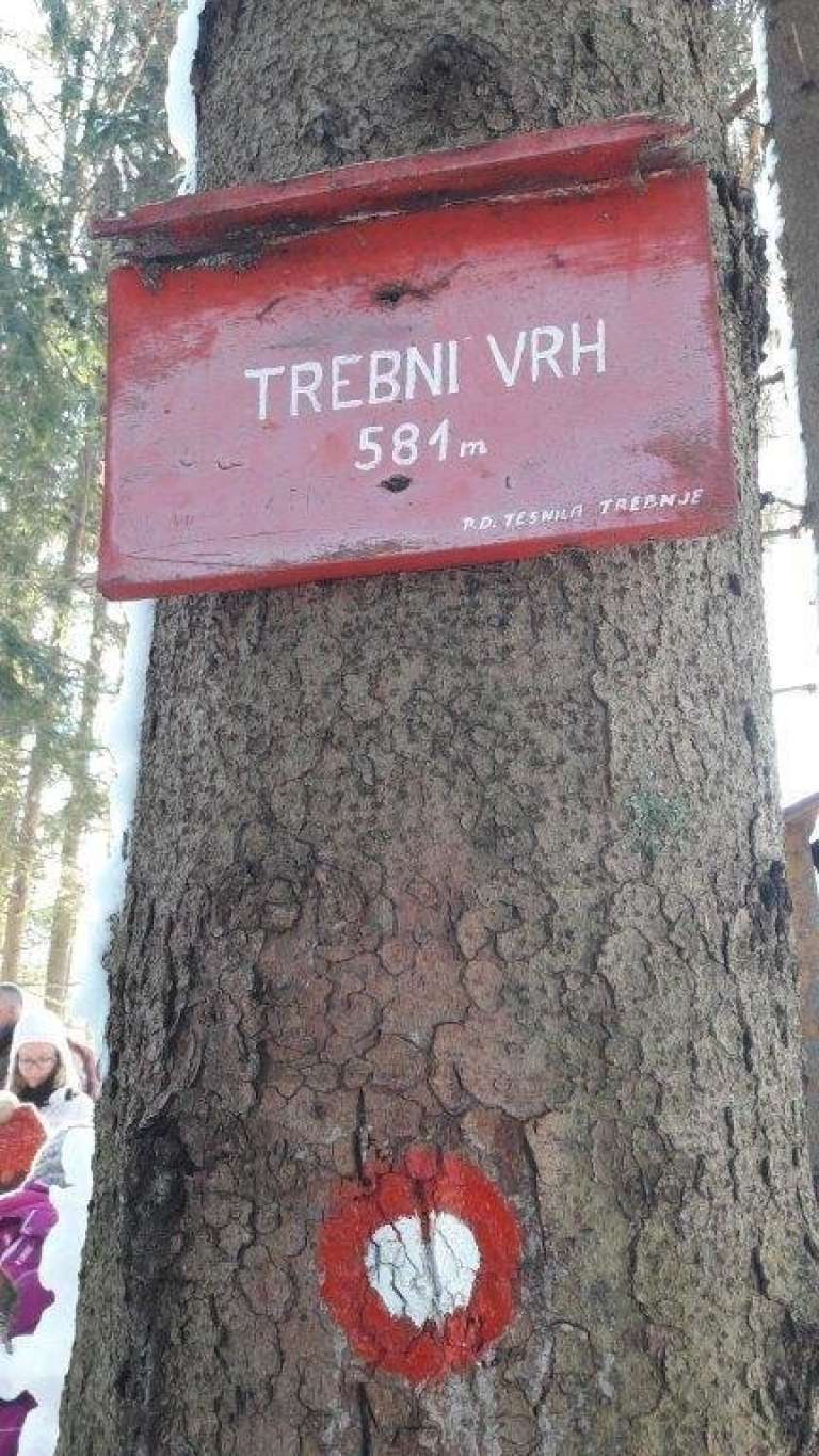 vrhtrebnje__10_.jpg