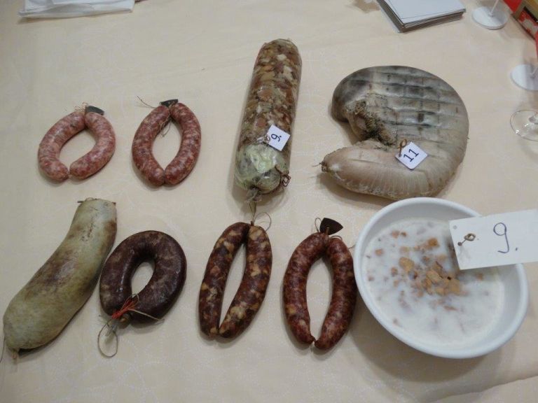 _koline__02_.jpg