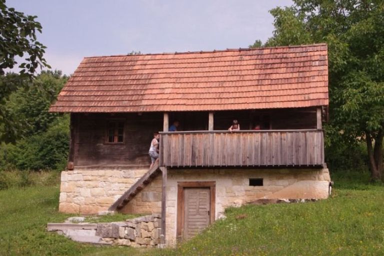 zelisca_002.jpg
