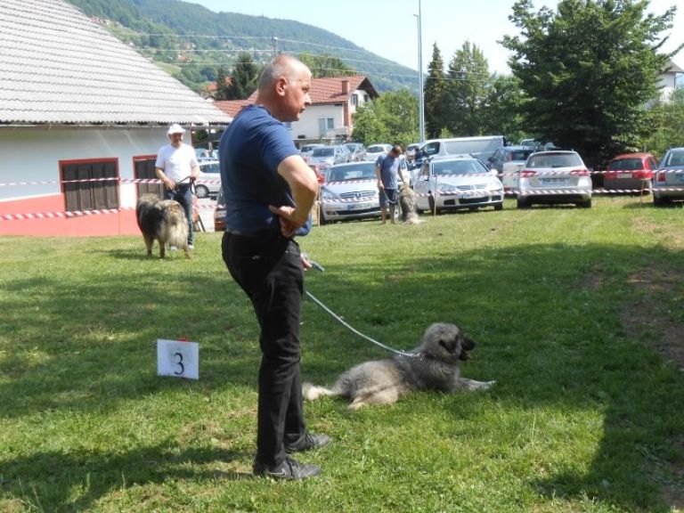 drobnicaj02.jpg