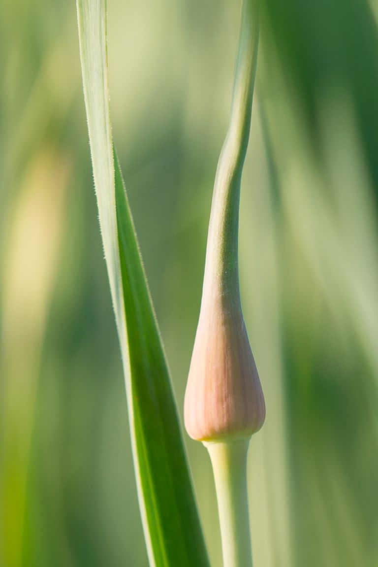 za_web_016.jpg