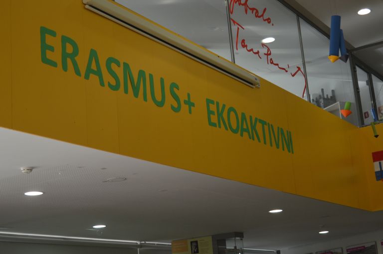 _zerasmus_4__2_.jpg