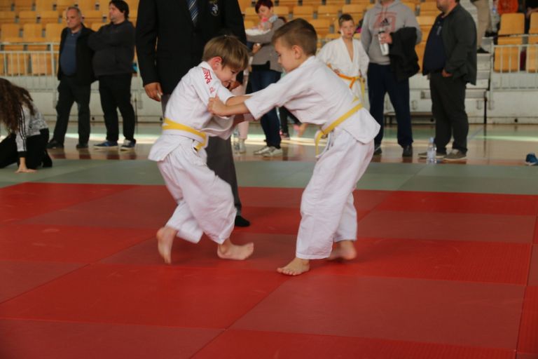 _vjudo__10_.jpg