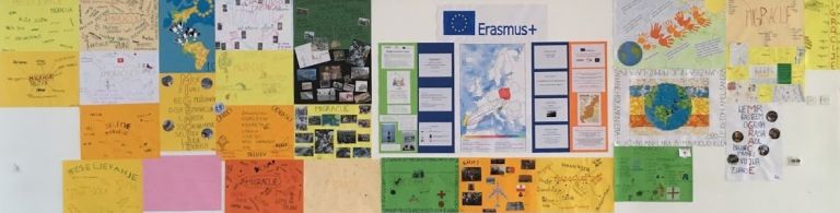 erasmus_koticek.jpg