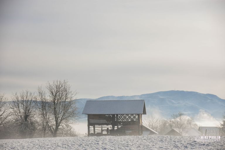 mikipavlinfoto_12.jpg