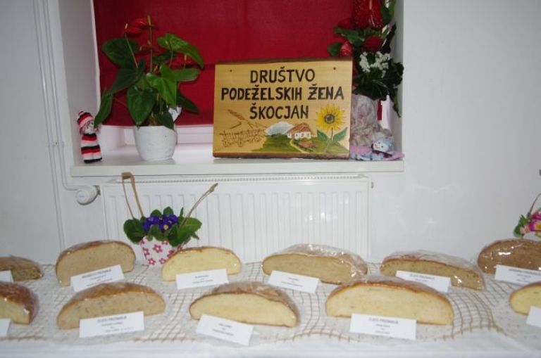 kruh10.jpg