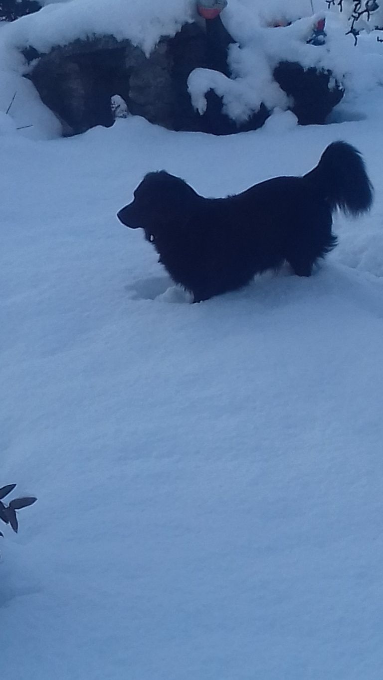 20180204_083742.jpg