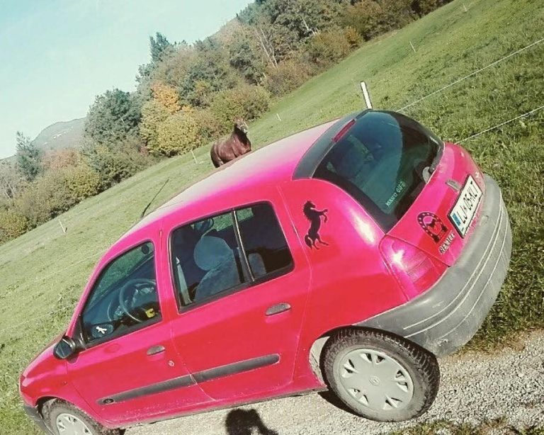 renault_clio.jpg