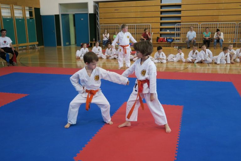 _zzzzzkarate__02_.jpg