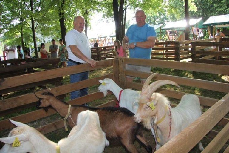 drobnica_semic__60.jpg
