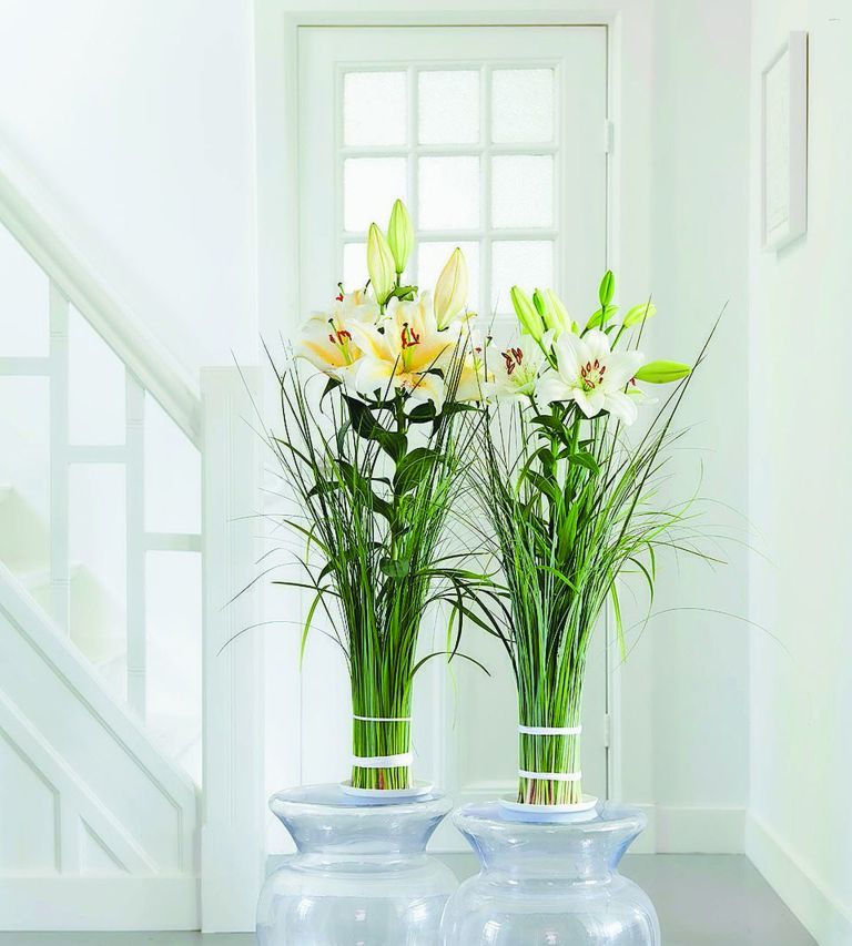 Lilije, simbol ženstvenosti